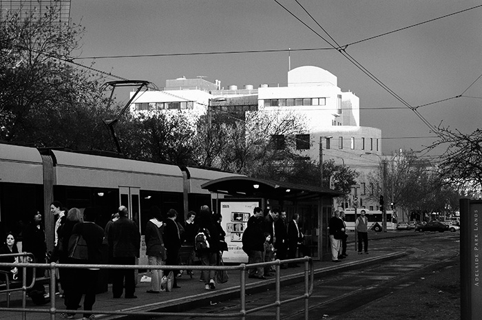 Tram , City to Bay