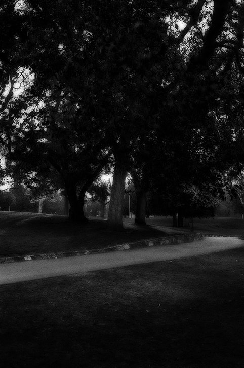 rymill park, study #2 - adelaide, 2006