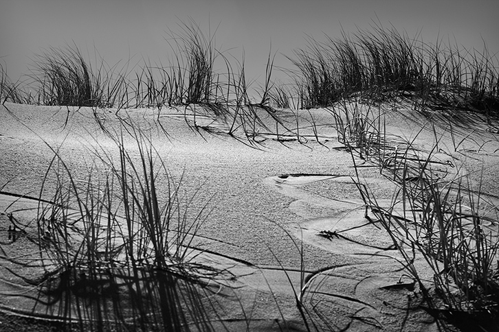 dunes, grass - Goolwa