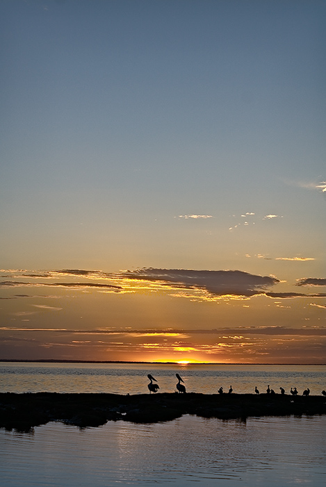 Sunset & Pelicans, Hardwick Bay - South Australia