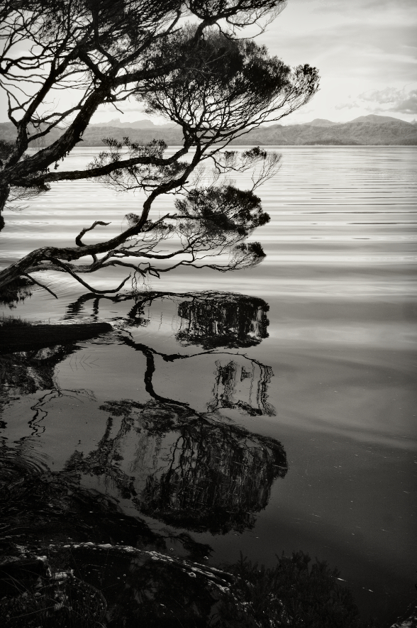 Sarah Island #2, Gordon River - Tasmainia, 2008